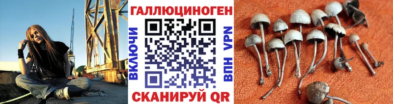где купить наркоту  Бобров  Галлюциногенные грибы Magic Shrooms 